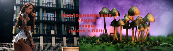 apvp Заводоуковск