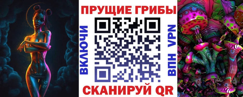 Купить где Гвардейск Псилоцибиновые грибы мицелий